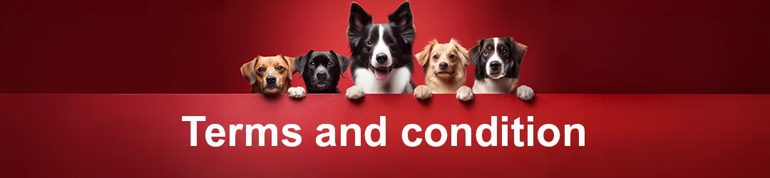 Terms and conditions